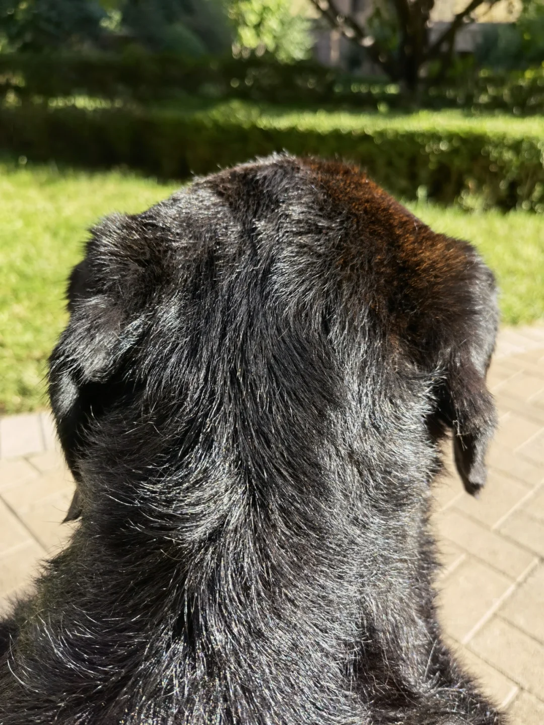 爱游戏官网入口-灰熊反败为胜，实力得到证明的简单介绍