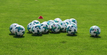 爱游戏入口-沃尔夫斯堡豪取胜利，击败卡尔斯鲁厄征程再添胜利火焰，沃尔夫斯堡主力